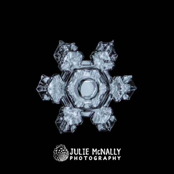 New Year's Stellar Plate - Image 2