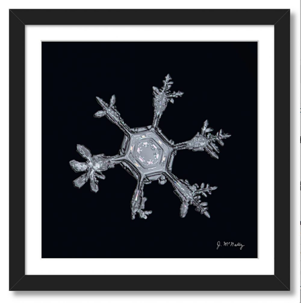 Hexagonal Plate with Dendritic Extensions