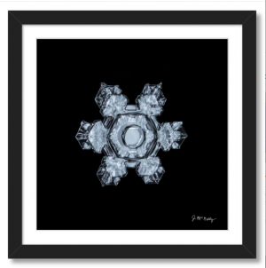 New Year's Stellar Plate