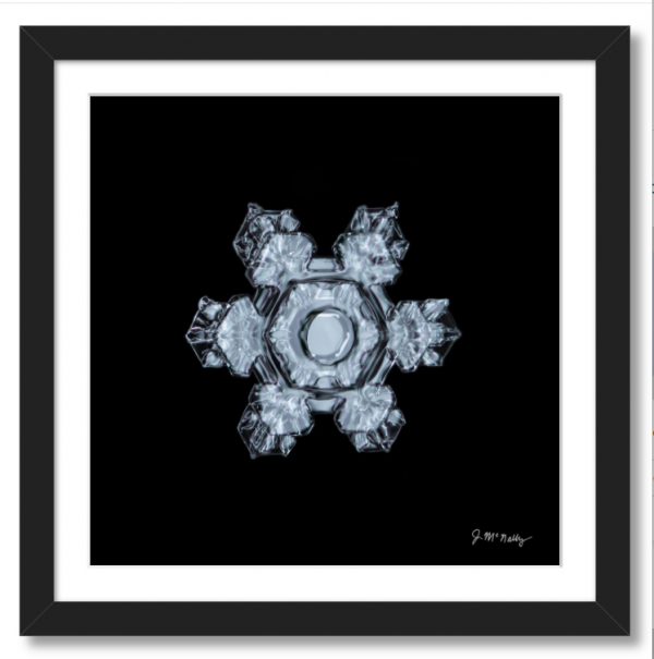 New Year's Stellar Plate