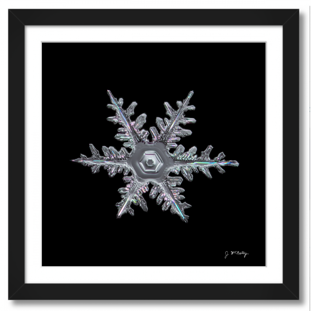 Classic Stellar Dendrite