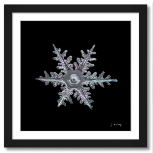 Classic Stellar Dendrite