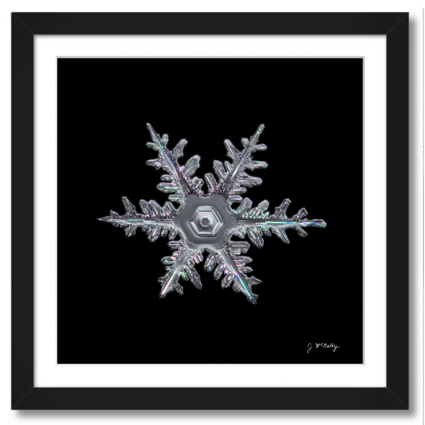 Classic Stellar Dendrite