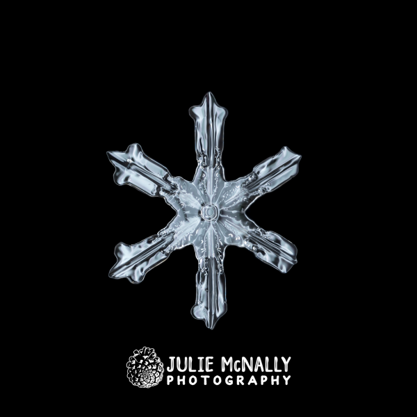 Melting Simple Star - Image 2